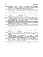 The Discovery of Type II Superconductors Part 2 pot