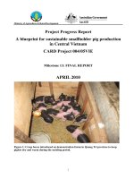 Project Progress Report: 