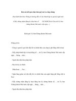 Báo cáo kết quả chào bán quỹ mở ra công chúng pptx