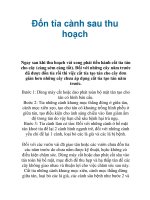 Đốn tỉa cành sau thu hoạch pdf