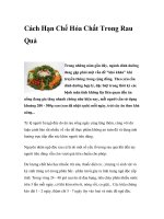Cách Hạn Chế Hóa Chất Trong Rau Quả pdf