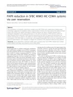 Báo cáo hóa học: 