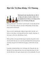 Hạt Gấc Trị Đau Khớp, Vết Thương ppt