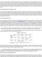 Essentials of Strategic Management 5th Edition_7 doc