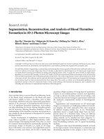 Báo cáo hóa học: 