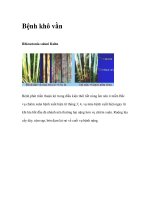 Bệnh khô vằn pptx