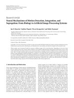 Báo cáo hóa học: 