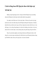 Cách trồng hoa Đỗ Quyên theo khí hậu tại TP HCM pot