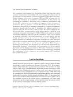 Contemporary Research in E-Marketing_6 pptx