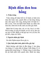 Bệnh đốm đen hoa hồng pptx