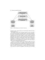 Clusters and Competitive Advantage The Turkish Experience_3 pptx