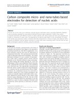 Báo cáo hóa học: 