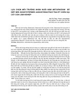 Nghiên cứu khoa học 