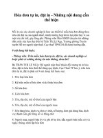 Hóa đơn tự in, đặt in - Những nội dung cần thể hiện pptx