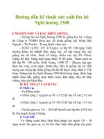 Hướng dẫn kỹ thuật sản xuất lúa lai Nghi hương 2308 potx