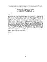 Nghiên cứu khoa học 