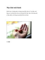 Mẹo khử mùi hành pdf