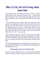 Bảo vệ cây ăn trái trong mùa mưa bão pptx