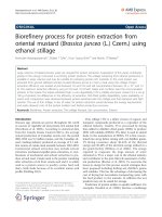 báo cáo hóa học: