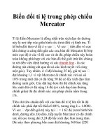 Biến đổi tỉ lệ trong phép chiếu Mercator doc