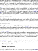 Essentials of Strategic Management 5th Edition_8 docx