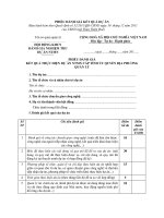 MẪU PHIẾU ĐÁNH GIÁ KẾT QUẢ THỰC HIỆN DỰ ÁN NTMN CẤP TỈNH ỦY QUYỀN ĐỊA PHƯƠNG QUẢN LÝ doc