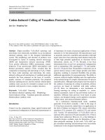 Báo cáo hóa học: 