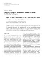 Báo cáo hóa học: 