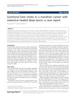 Báo cáo hóa học: 