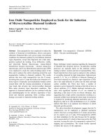 Báo cáo hóa học: 