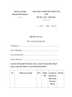 MẪU PHƯƠNG ÁN GIÁ (Đối với hàng hóa nhập khẩu) ppt