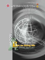 báo cáo thường niên 2004 ngân hàng tmcp đầu tư và phát triển việt nam bidv