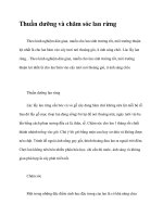 Thuần dưỡng và chăm sóc lan rừng pdf