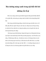 Bảo dưỡng mảng xanh trong nội thất đòi hỏi những yếu tố gì doc