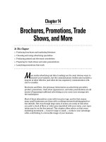 Small Business Marketing for Dummies Second Edition by Barbara Findlay Schenck_10 pot