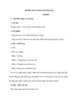 RÔ-BIN-XƠN NGOÀI ĐẢO HOANG (Đi-phô) docx