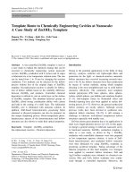 Báo cáo hóa học: 