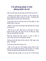 Các phương pháp cơ bản phòng bệnh cho bò pot