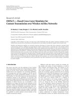 Báo cáo hóa học: 