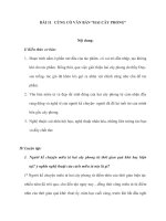 BÀI 11 CỦNG CỐ VĂN BẢN “HAI CÂY PHONG