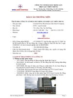 báo cáo thường niên công ty cổ phần bất động sản điện lực miền trung 2011