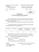 MẪU THÔNG BÁO V/v: Điều chỉnh số liệu trên hồ sơ khai thuế ppt