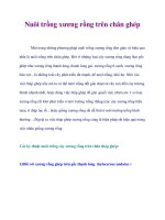 Nuôi trồng xương rồng trên chân ghép docx