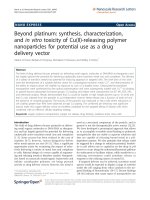 báo cáo hóa học: 