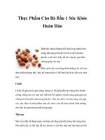 Thực Phẩm Cho Bà Bầu 1 Sức Khỏe Hoàn Hảo doc