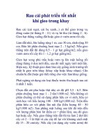 Rau cải phát triển tốt nhất khi gieo trong khay doc