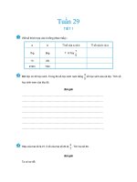 Bai tập toán_Tuần 29 docx