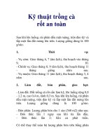 Kỹ thuật trồng cà rốt an toàn doc