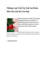 Những Loại Trái Cây Giữ Ẩm Hoàn Hảo Cho Làn Da Của Bạn pdf