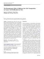 báo cáo hóa học: